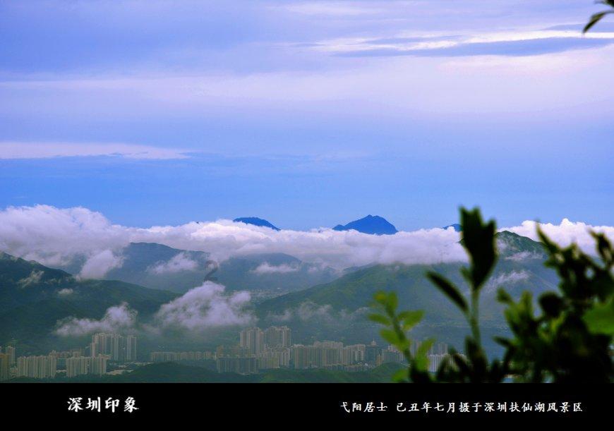 鱼尾裙什么面料好?-有问必答平台-专业解答您的疑问